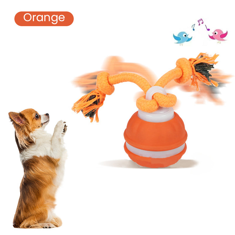 🎉50 % RABATT!!!Interaktiver rollender Katzenball mit Vogelstimmen