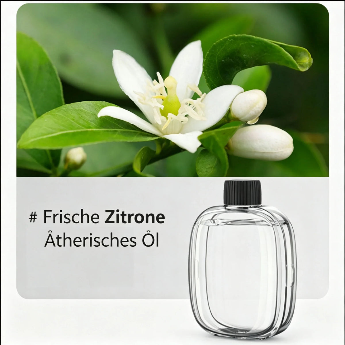 💥🎁Neu und grad 50% günstiger!🎉💖Nervt dich trockene Luft und müffeliger Geruch? Dieser automatische Aroma-Diffuser macht sofort frische Luft – echt ein super Geschenk für Familie & Freunde!