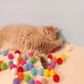 🐱 Verbringen Sie mehr Zeit mit Ihren Haustieren: Plüschball-Schusspistole 🎯