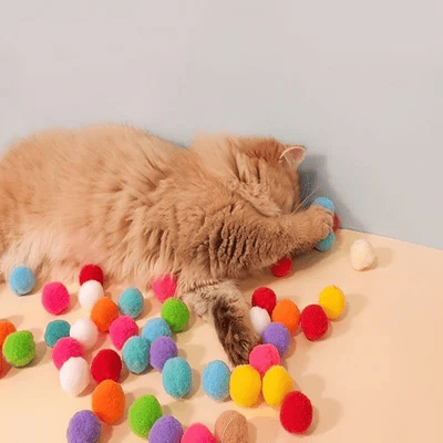 🐱 Verbringen Sie mehr Zeit mit Ihren Haustieren: Plüschball-Schusspistole 🎯