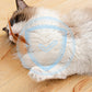 🔥Solange der Vorrat reicht 50 % Rabatt!🎉Interaktiver Katzen-Hüpfball mit Feder
