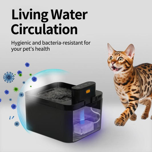Intelligenter Katzen-Trinkbrunnen mit Bewegungssensor