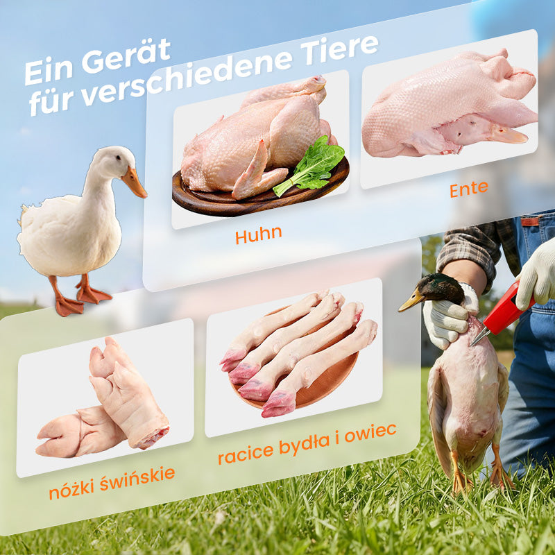🦆🔥2026 SCHNÄPPCHEN 🔥🐓Elektrische Geflügelrupfmaschine – Einfaches Rupfen, spart Zeit und Mühe!