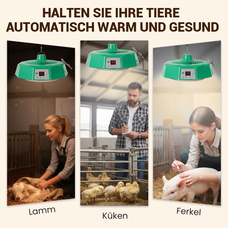 Wärmelampe mit Fernbedienung für die Geflügelhaltung