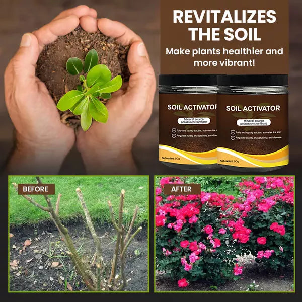 🌿💪 ECOCERT-zertifizierter Bodenaktivator – Stärkt Ihren Boden, fördert üppiges Wachstum mühelos! 🌼✅