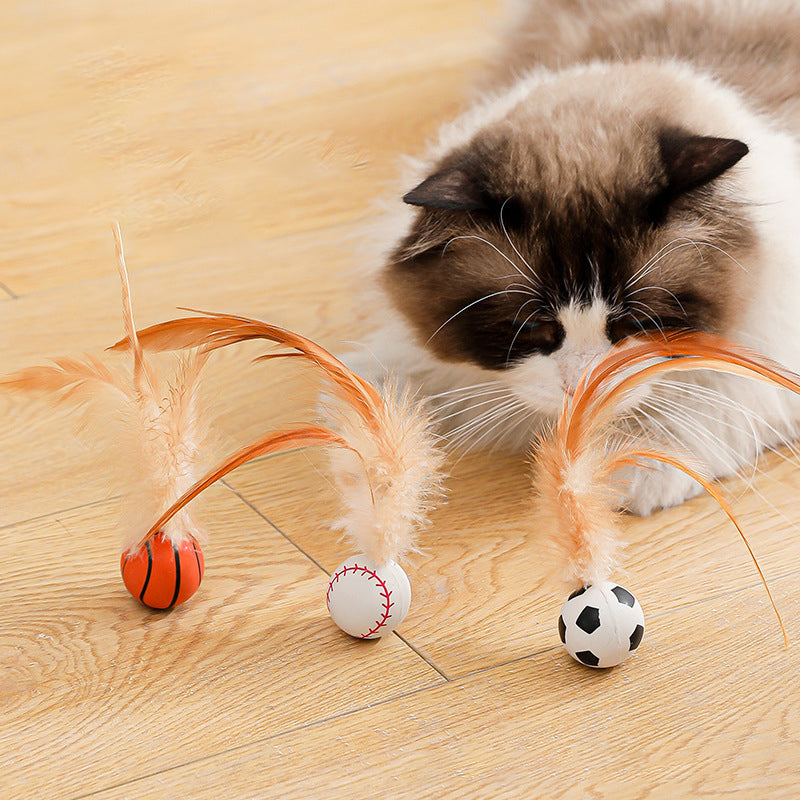 🔥Solange der Vorrat reicht 50 % Rabatt!🎉Interaktiver Katzen-Hüpfball mit Feder
