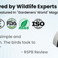 🐦 50% RABATT! 🌿⏰Aufhängbarer Vogelfutterspender mit Dach – Wetterschutz, Leicht zu befüllen & Hält Eichhörnchen fern