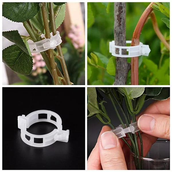 ⏳Begrenzte Zeit 50% Rabatt💥Gesicherter Pflanzen Kunststoff Clip