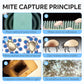 90-Day Dust Mite Trapping Sheet