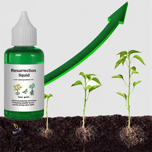 🔥Recommended by professionals👉A must-have for flower lovers 💥 Plant and Flower Revitalizing Solution 🎉