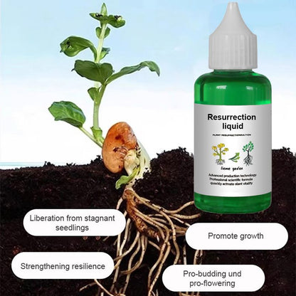 🔥Recommended by professionals👉A must-have for flower lovers 💥 Plant and Flower Revitalizing Solution 🎉