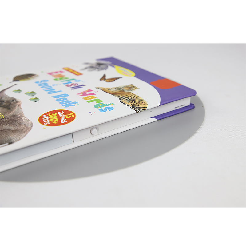 Interaktives Englisch-Lernbuch mit Sounds für Kinder