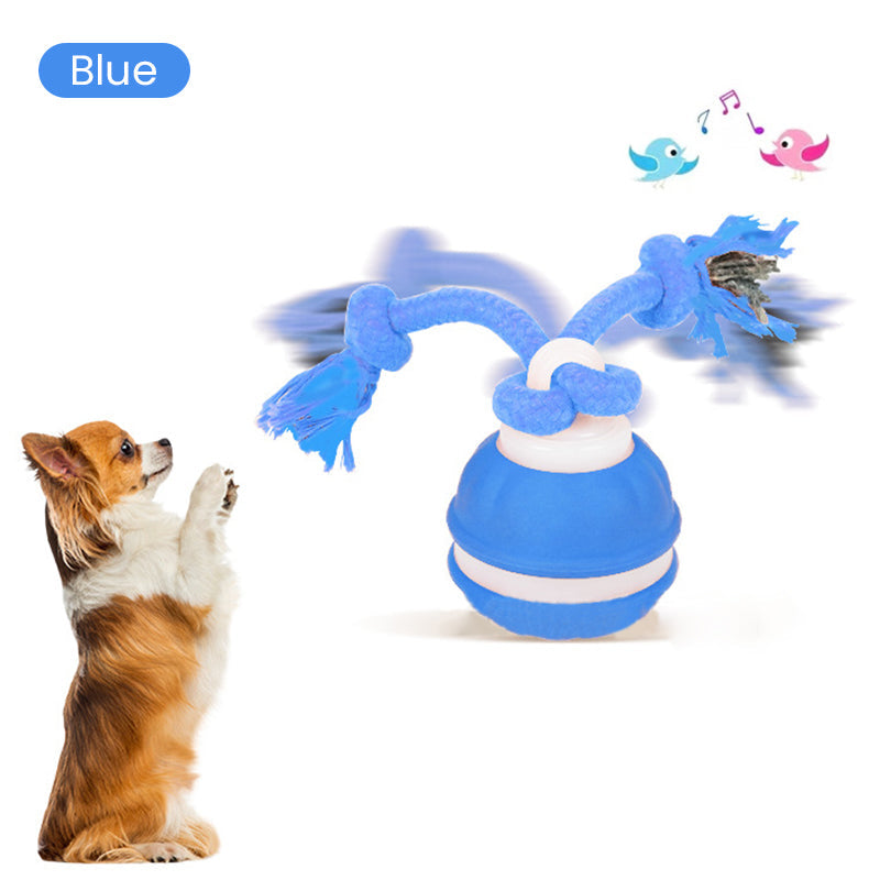 🎉50 % RABATT！！！Interaktiver rollender Katzenball mit Vogelstimmen