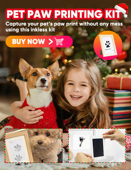 🎁 50 % RABATT🐶Pfotenabdruck-Set für Haustiere🐾🐾