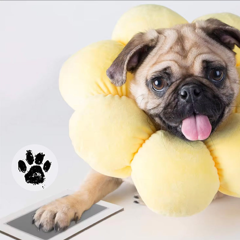 🎁 50 % RABATT🐶Pfotenabdruck-Set für Haustiere🐾🐾