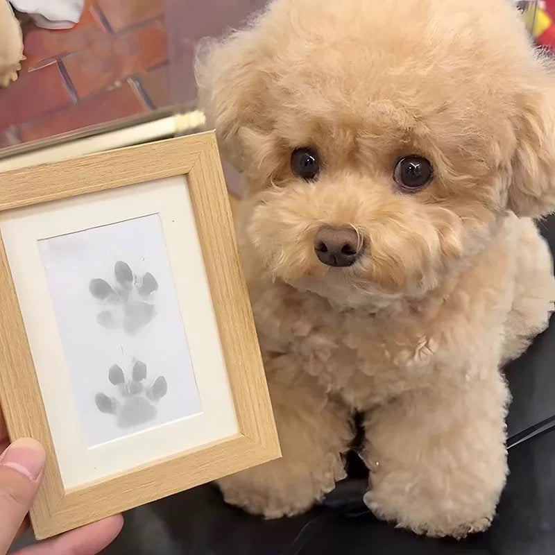 🎁 50 % RABATT🐶Pfotenabdruck-Set für Haustiere🐾🐾