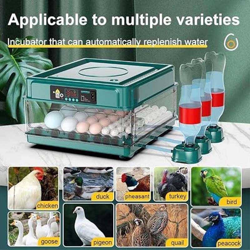 Automatischer Brutautomat – Intelligenter Eier-Inkubator für Huhn, Ente, Gans & Taube 🐣💧