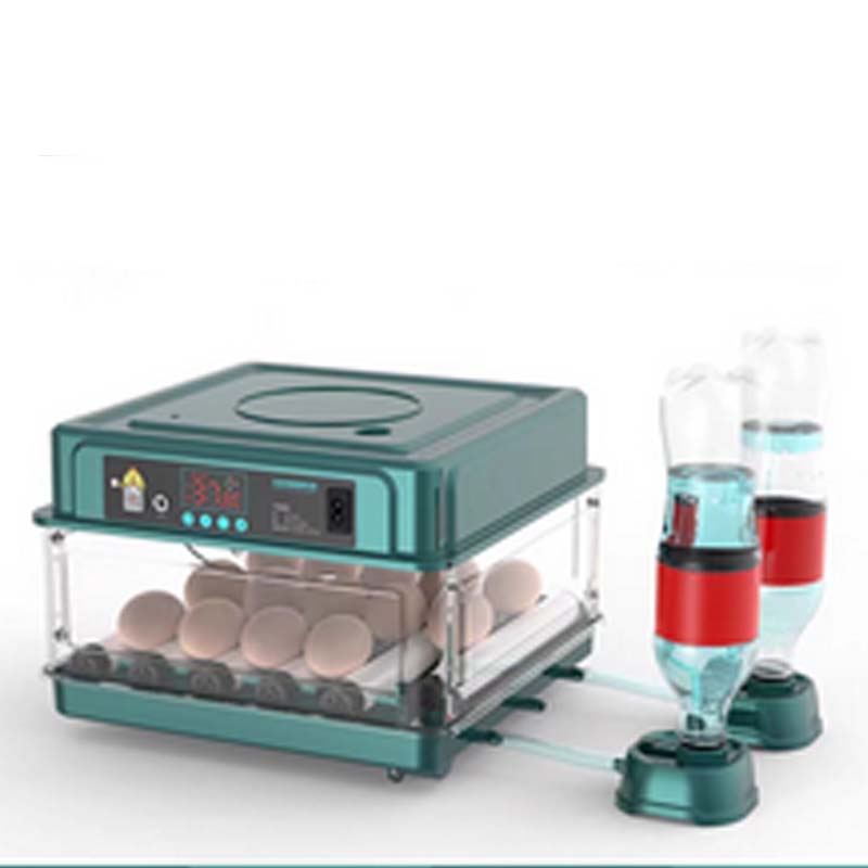 Automatischer Brutautomat – Intelligenter Eier-Inkubator für Huhn, Ente, Gans & Taube 🐣💧