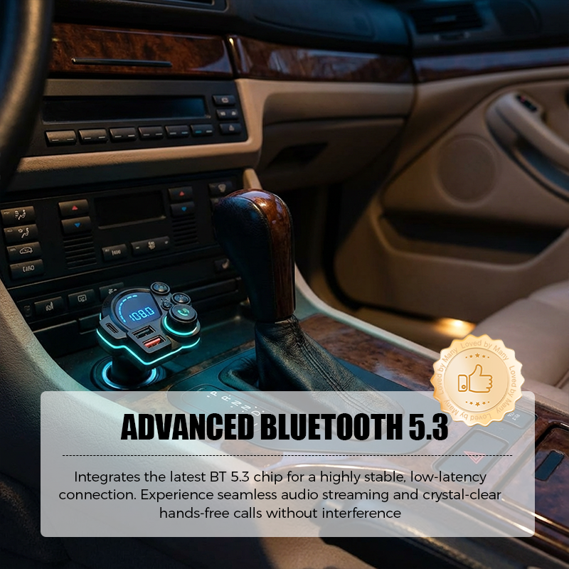 Universeller Dual-Port-FM-Bluetooth-Transmitter für das Aut
