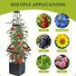 Gartenhochbeet Pflanzkästen mit Rankgitter｜Perfekt für Kletterpflanzen und Gemüseanbau