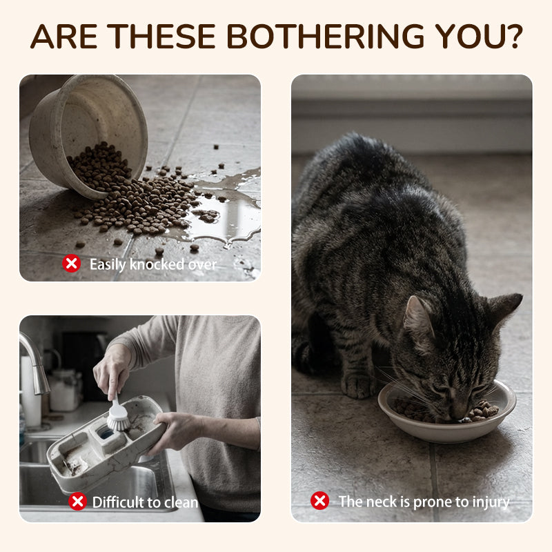 🐾Rutschfester, erhöhter Futtertrog mit 3 Schalen für Haustiere🐾