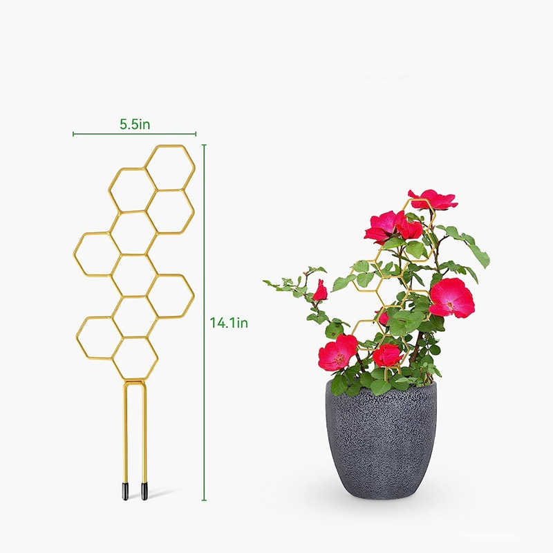 🌿 50% RABATT! 🐝 Waben-Pflanzengitter – Rostfrei, stapelbar & einfache Montage – Perfekt für Kletterpflanzen, Tomaten oder Rankgitter im Beet – sorgt für aufrechtes und gesundes Wachstum 🍅