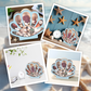 🐚 JETZT 50% RABATT! ✨ Muschel-Vitrine mit Acrylscheibe – Transparent & staubdicht – Perfekt für Sammlungen, Basteln oder Souvenirs – Elegante Tisch- oder Regaldekoration 🏖️🌟