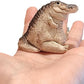 🎉Neu! Begrenzte Zeit – 50% Rabatt⏰Alligator Baby Figur Dekoration