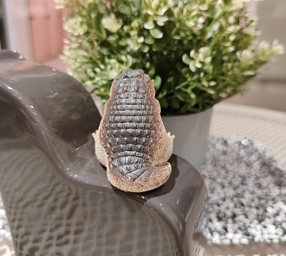 🎉Neu! Begrenzte Zeit – 50% Rabatt⏰Alligator Baby Figur Dekoration