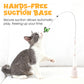 ✨🎁 50% RABATT! 🐱 Interaktives Katzenspielzeug mit Saugnapf und Angelrute, fördert Bewegung, leicht zu befestigen, unterhält Ihre Katze stundenlang🦋🐾