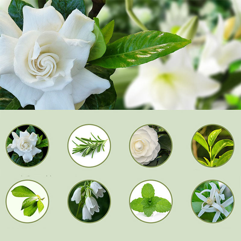 💥🎁Neu und grad 50% günstiger!🎉💖Nervt dich trockene Luft und müffeliger Geruch? Dieser automatische Aroma-Diffuser macht sofort frische Luft – echt ein super Geschenk für Familie & Freunde!