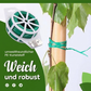 ⏳Begrenzte Zeit 50% Rabatt💥Garten-Drehbindedraht mit Schere