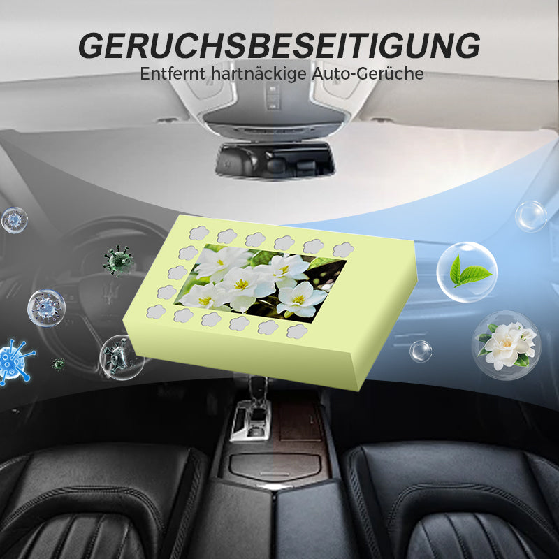 ⏳Begrenzte Zeit 50% Rabatt💥Lang anhaltender natürlicher Auto-Lufterfrischer