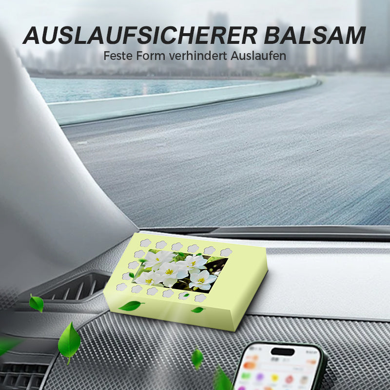 ⏳Begrenzte Zeit 50% Rabatt💥Lang anhaltender natürlicher Auto-Lufterfrischer